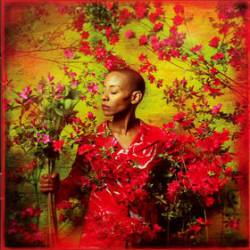 Gail Ann Dorsey : I Used to Be...